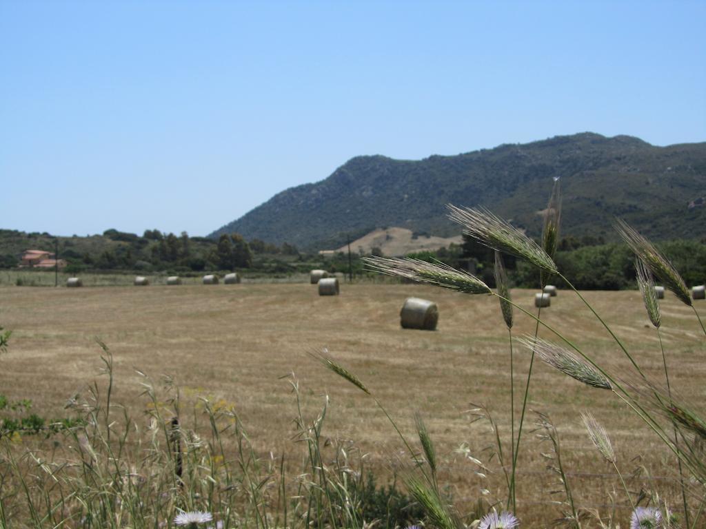 Agriturismo Sa Tiria Teulada Ngoại thất bức ảnh