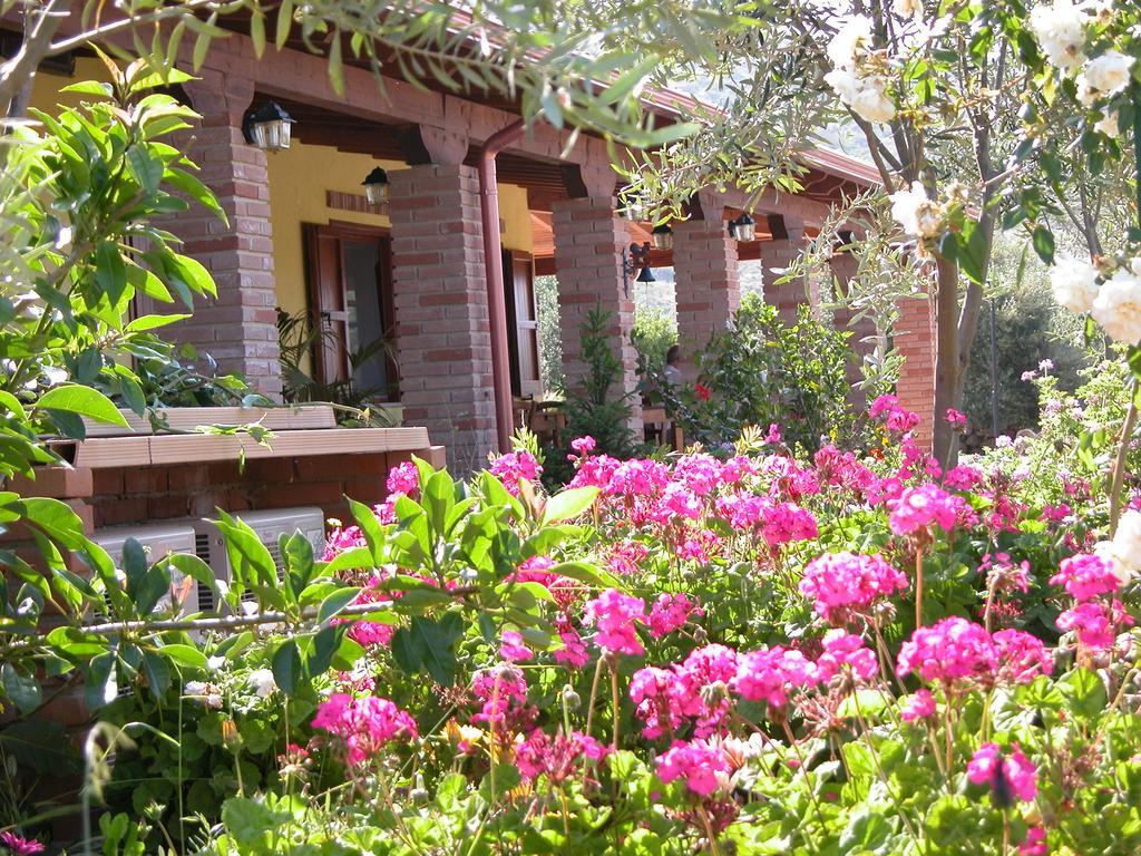 Agriturismo Sa Tiria Teulada Ngoại thất bức ảnh