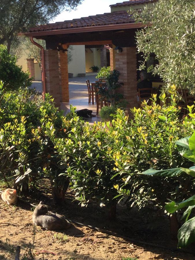 Agriturismo Sa Tiria Teulada Ngoại thất bức ảnh